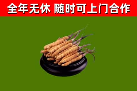 铜官烟酒回收冬虫夏草.jpg